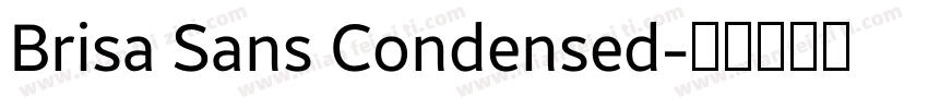 Brisa Sans Condensed字体转换